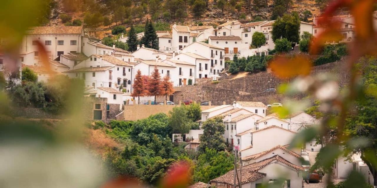 Apartamento La Parra Grazalema Exterior foto