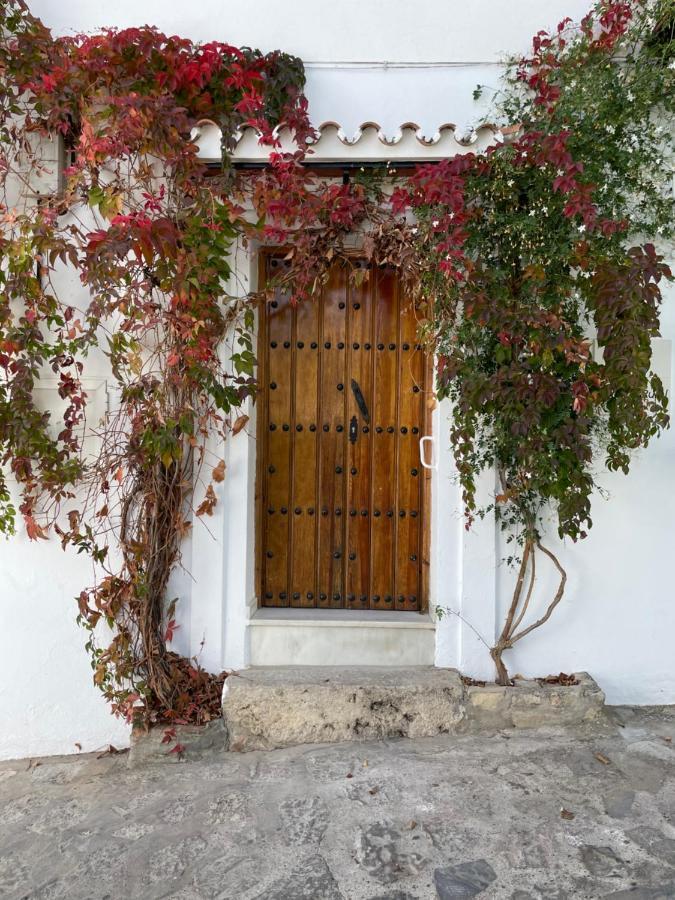 Apartamento La Parra Grazalema Exterior foto